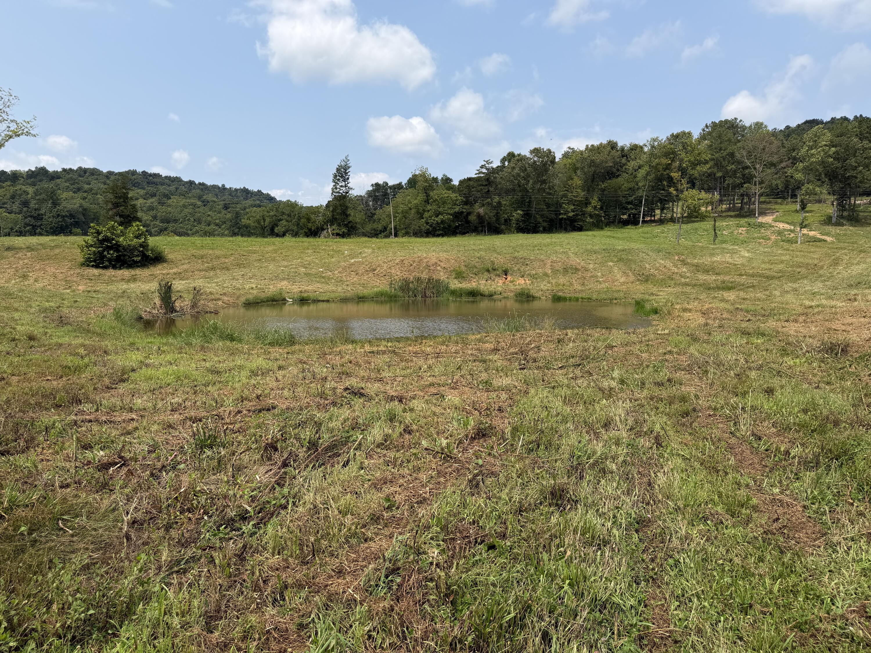 1330 Ky-790 Property Photo 15