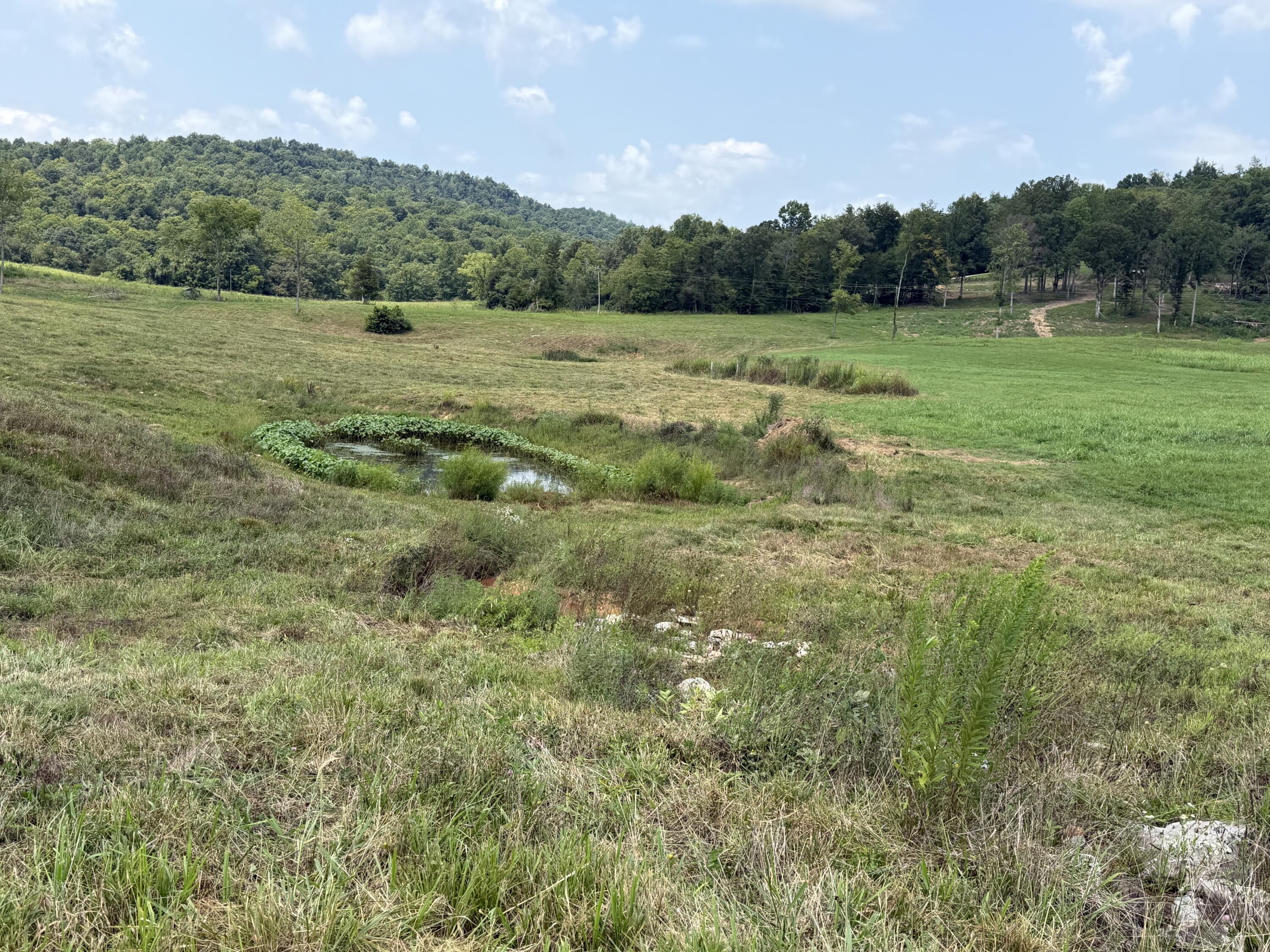 1330 Ky-790 Property Photo 16