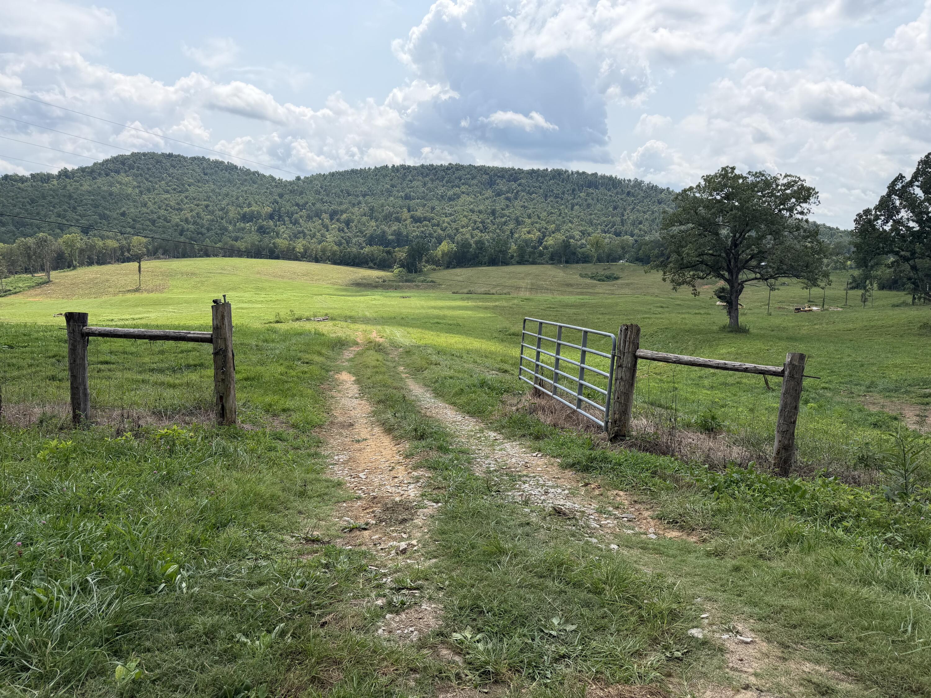1330 Ky-790 Property Photo 19