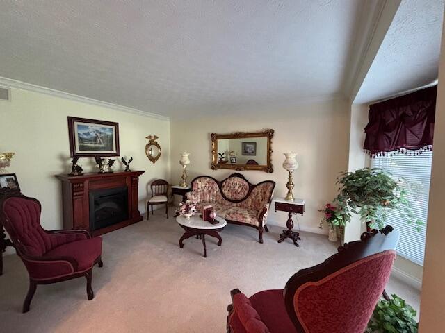 229 Shearwood Avenue Property Photo 5