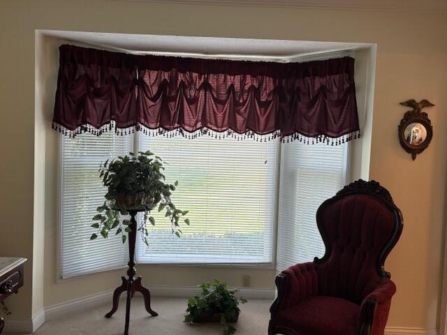 229 Shearwood Avenue Property Photo 6