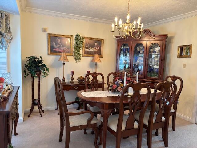 229 Shearwood Avenue Property Photo 9