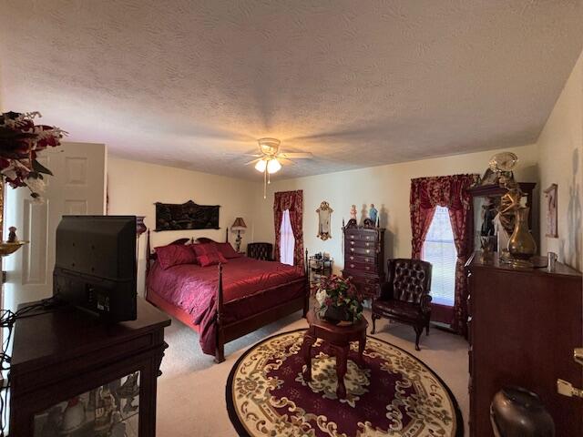 229 Shearwood Avenue Property Photo 25