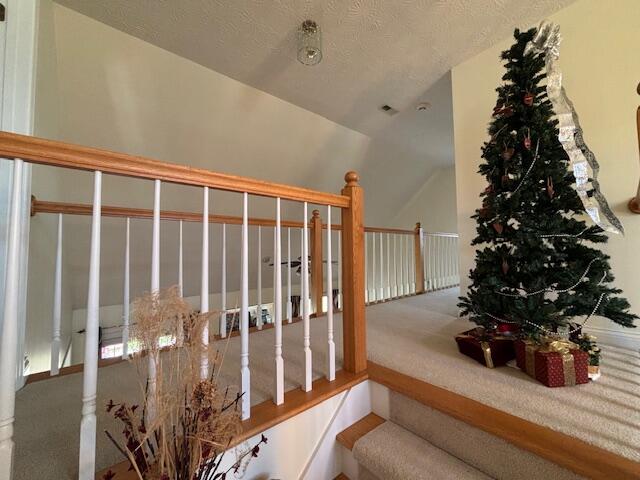 229 Shearwood Avenue Property Photo 37