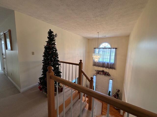 229 Shearwood Avenue Property Photo 38