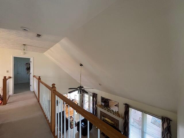 229 Shearwood Avenue Property Photo 40