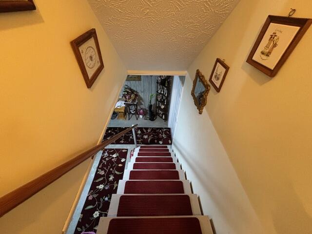 229 Shearwood Avenue Property Photo 52