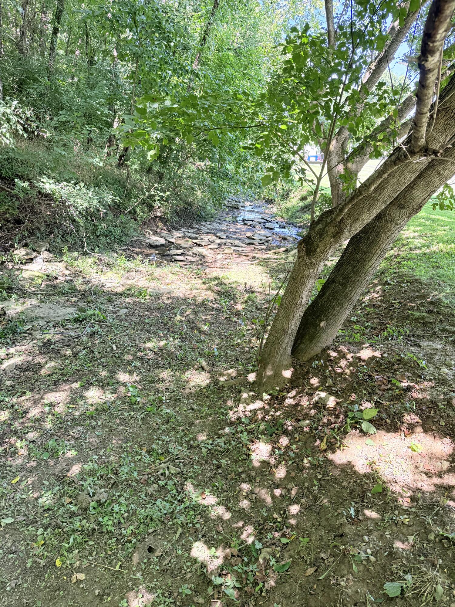 6464 Donaldson Road Property Photo 27
