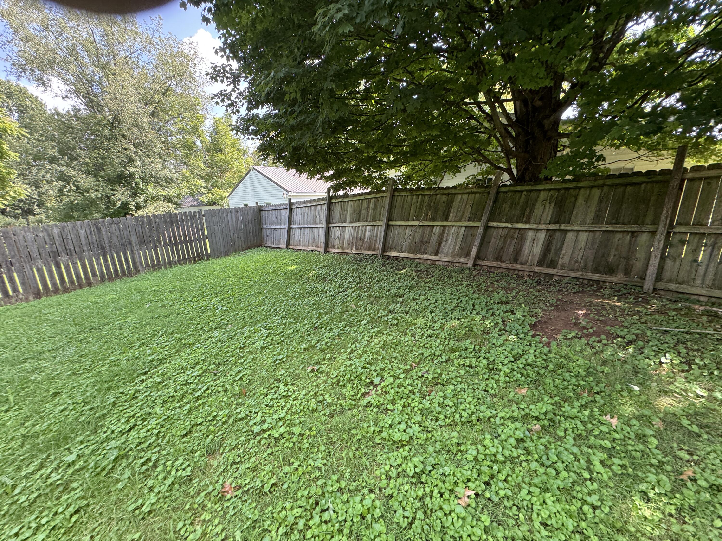 184 Mckee Road Property Photo 33