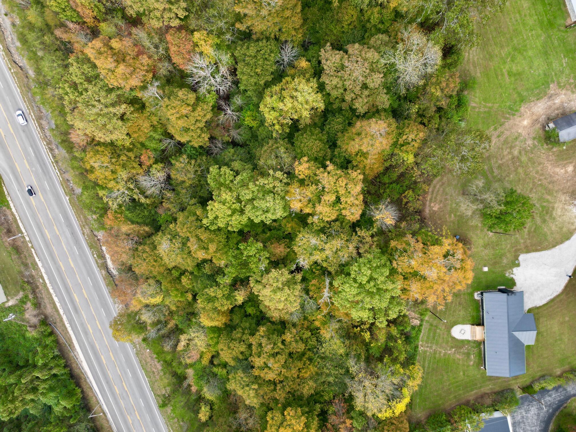 435 Mcguire Avenue Property Photo 64