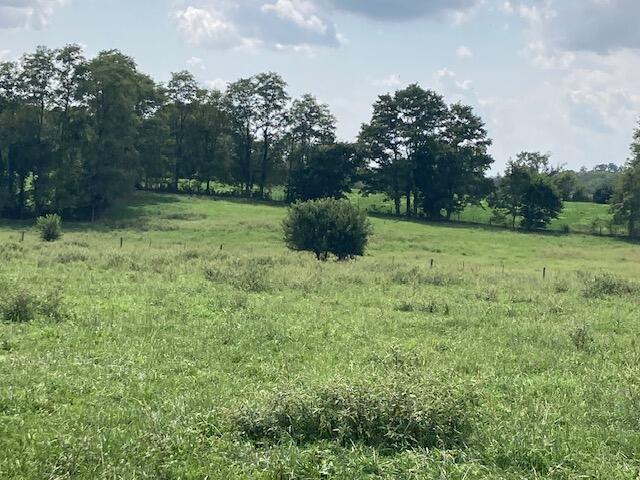 222 Silas Road Property Photo 9