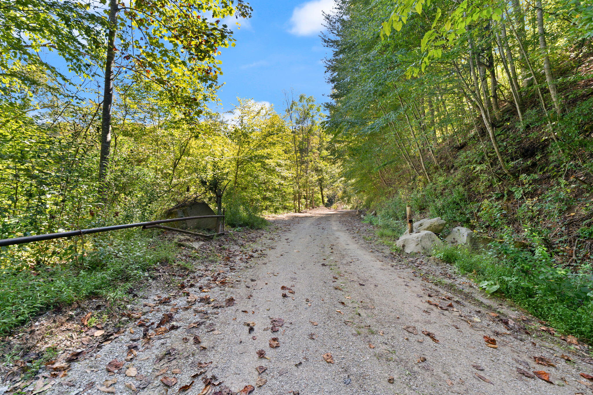9999 Carrion Branch Property Photo 1