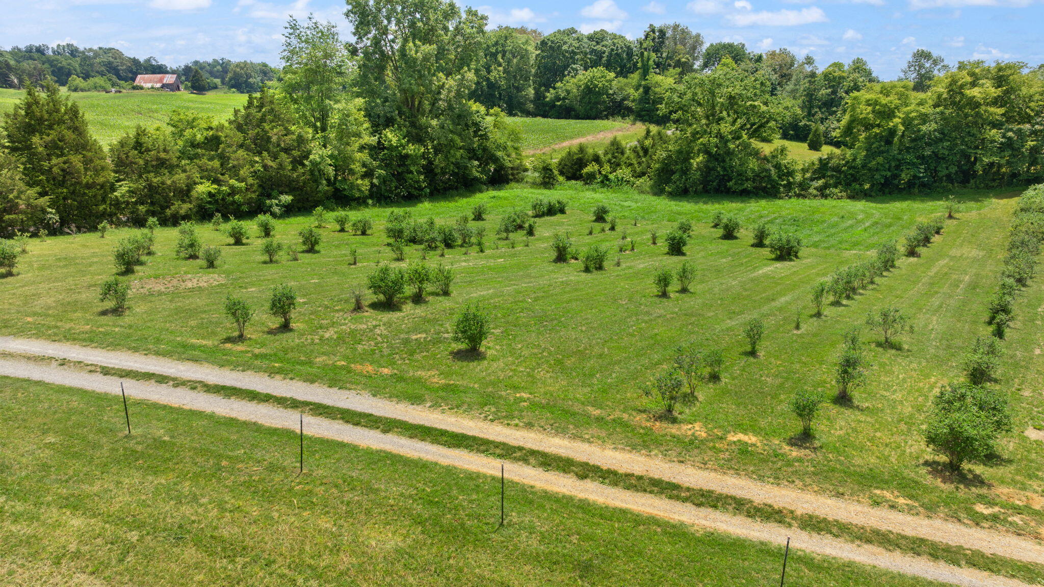 1717 Halltown Road Property Photo 37