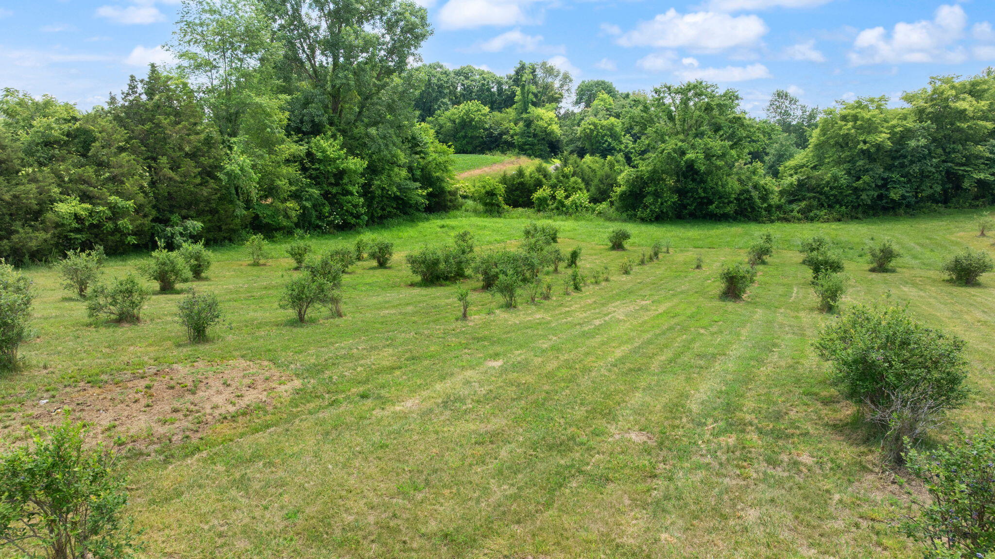 1717 Halltown Road Property Photo 38