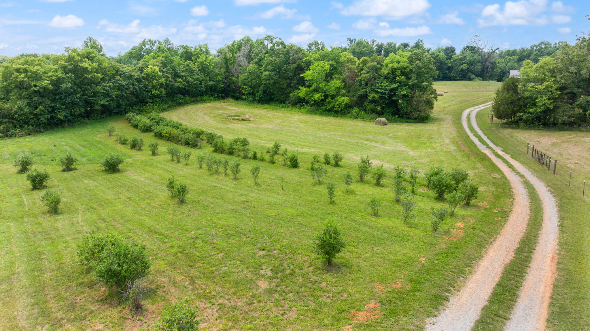 1717 Halltown Road Property Photo 39