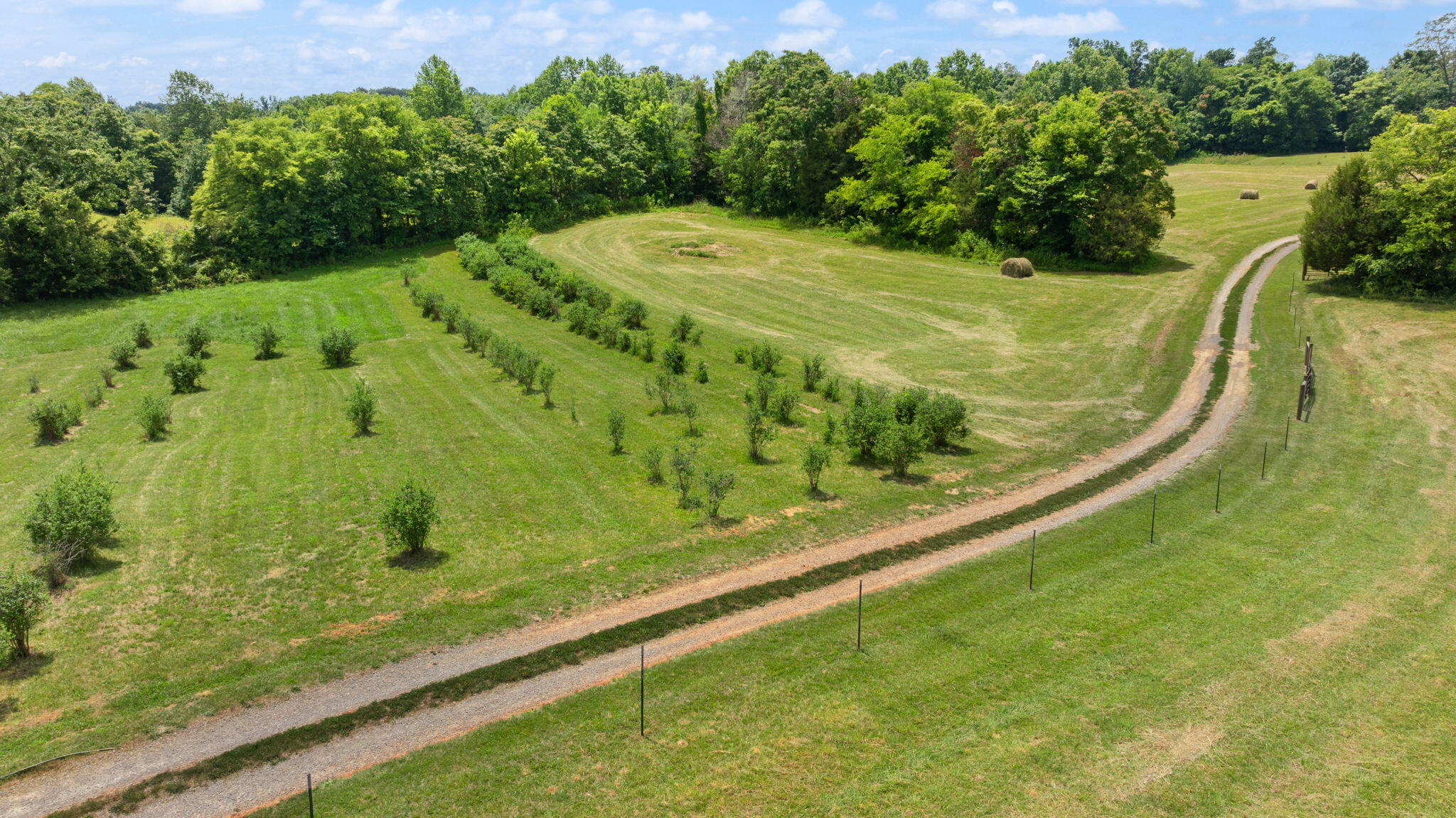 1717 Halltown Road Property Photo 75