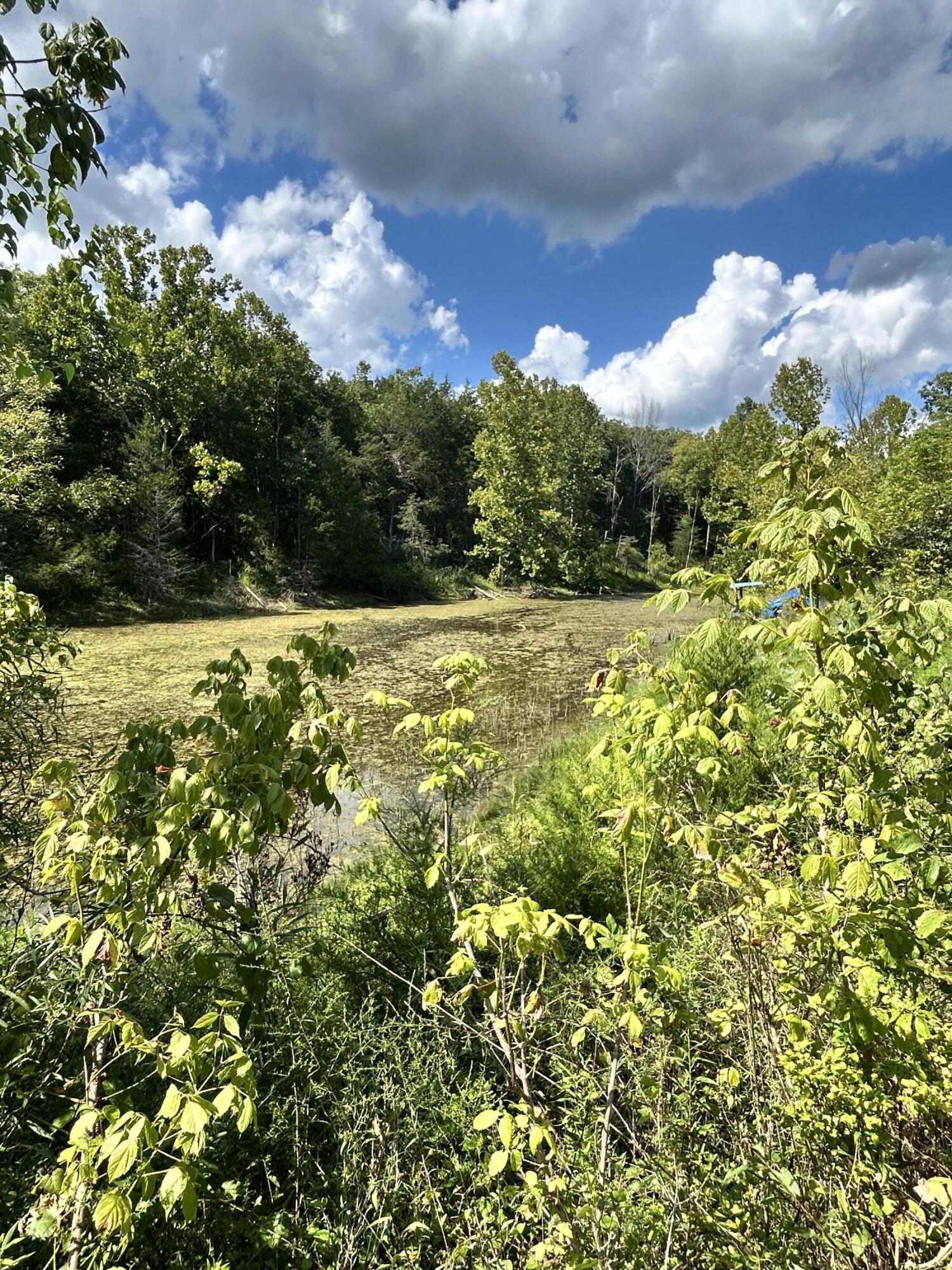 726 Old Brown Road Property Photo 38