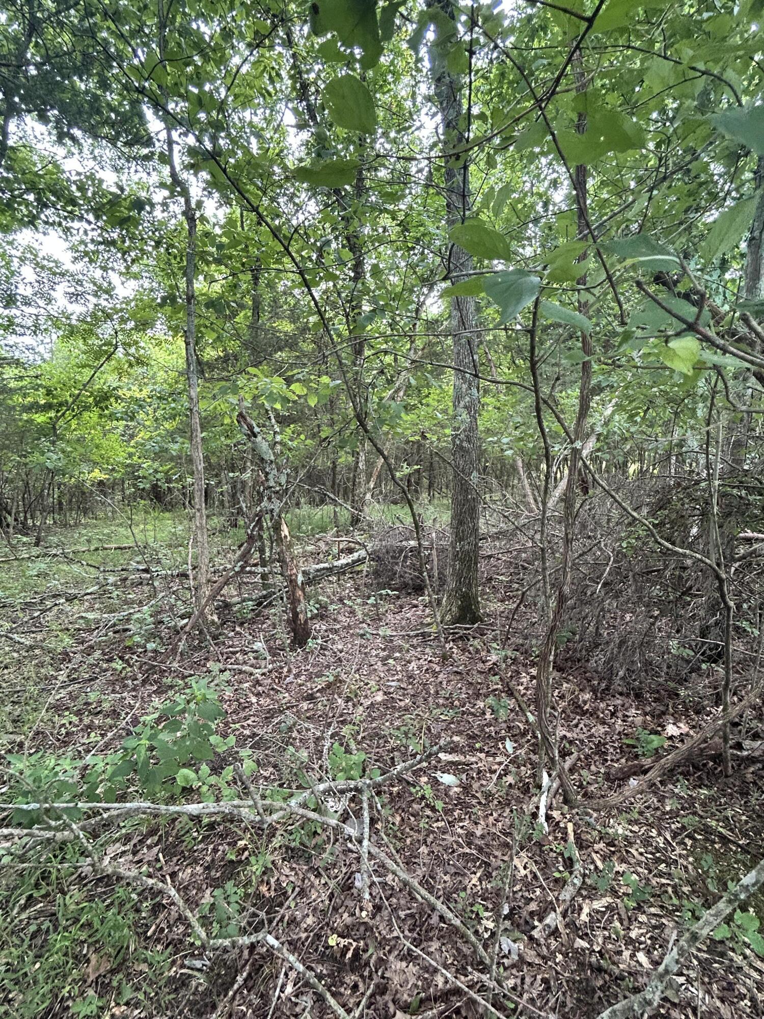 726 Old Brown Road Property Photo 40