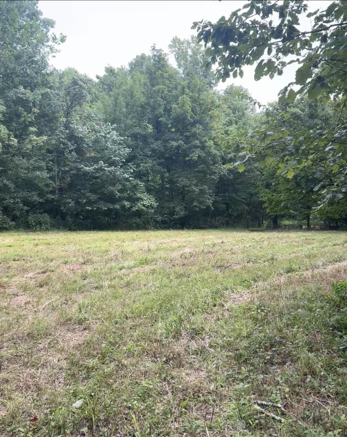 726 Old Brown Road Property Photo 43