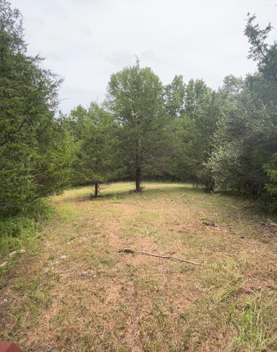 726 Old Brown Road Property Photo 45