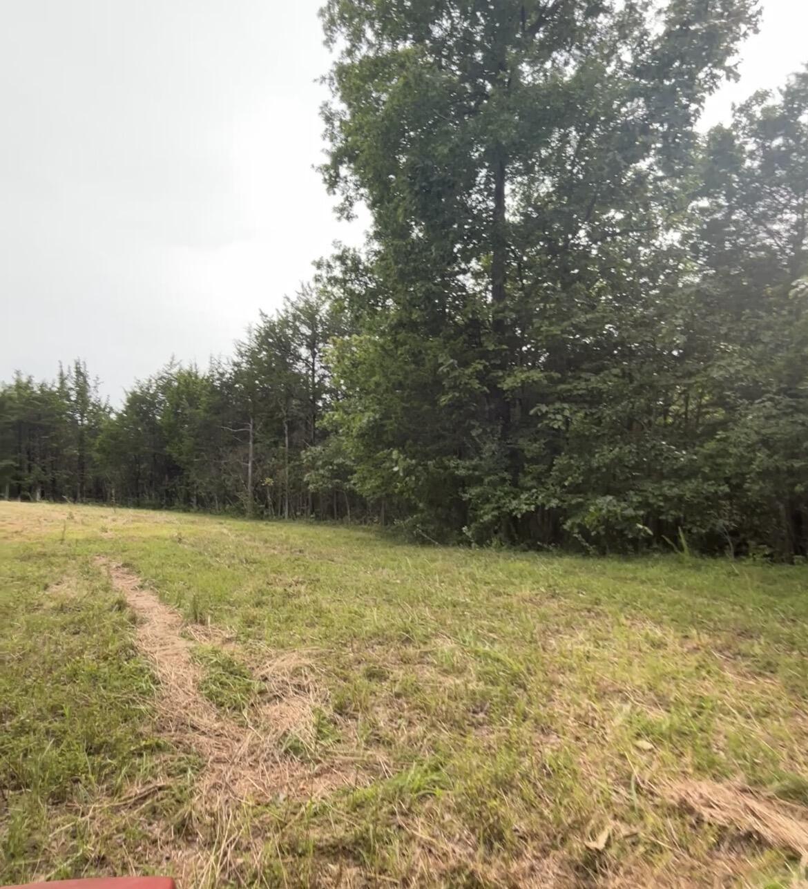 726 Old Brown Road Property Photo 46