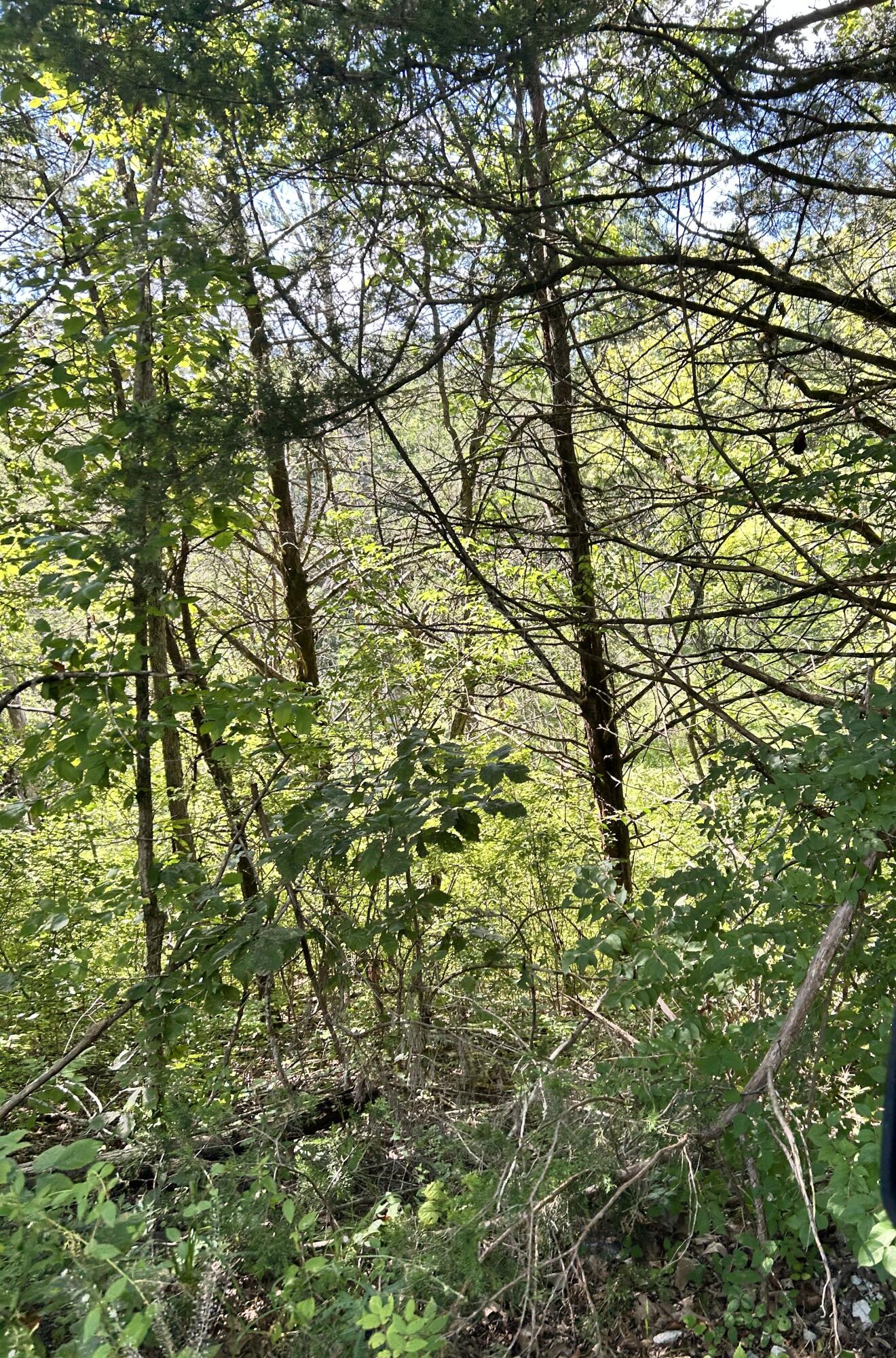 726 Old Brown Road Property Photo 83