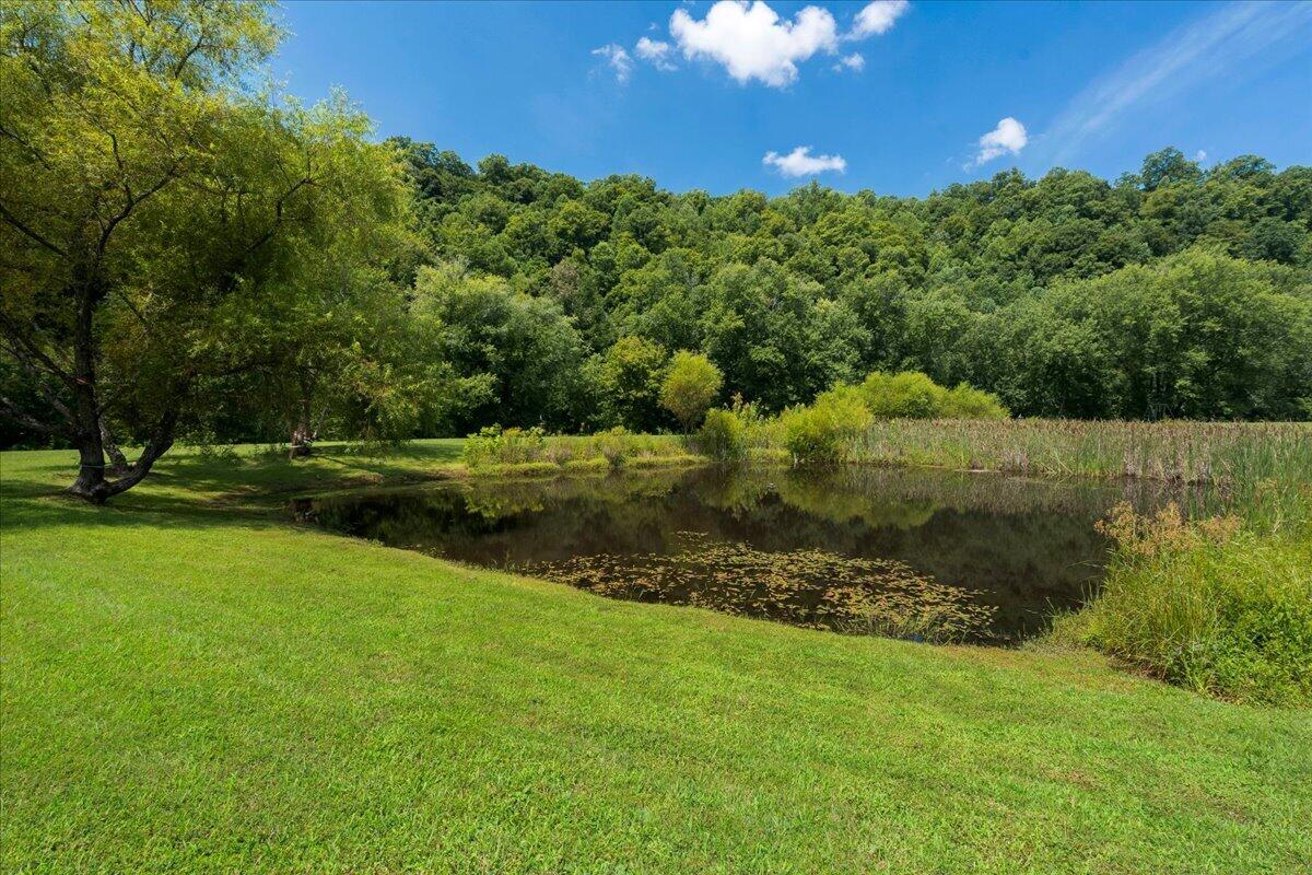 1184 S Fork Road Property Photo 38