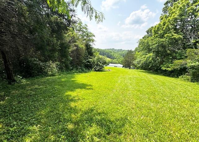 591 Luke Road Property Photo 23