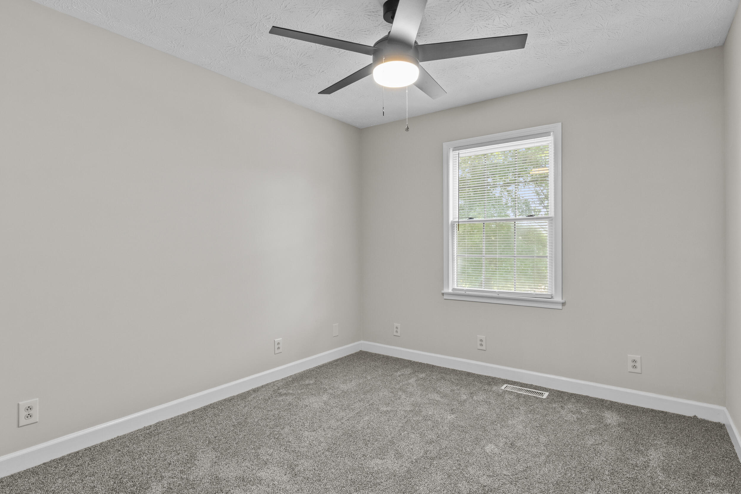 165 Paddock Drive Property Photo 11