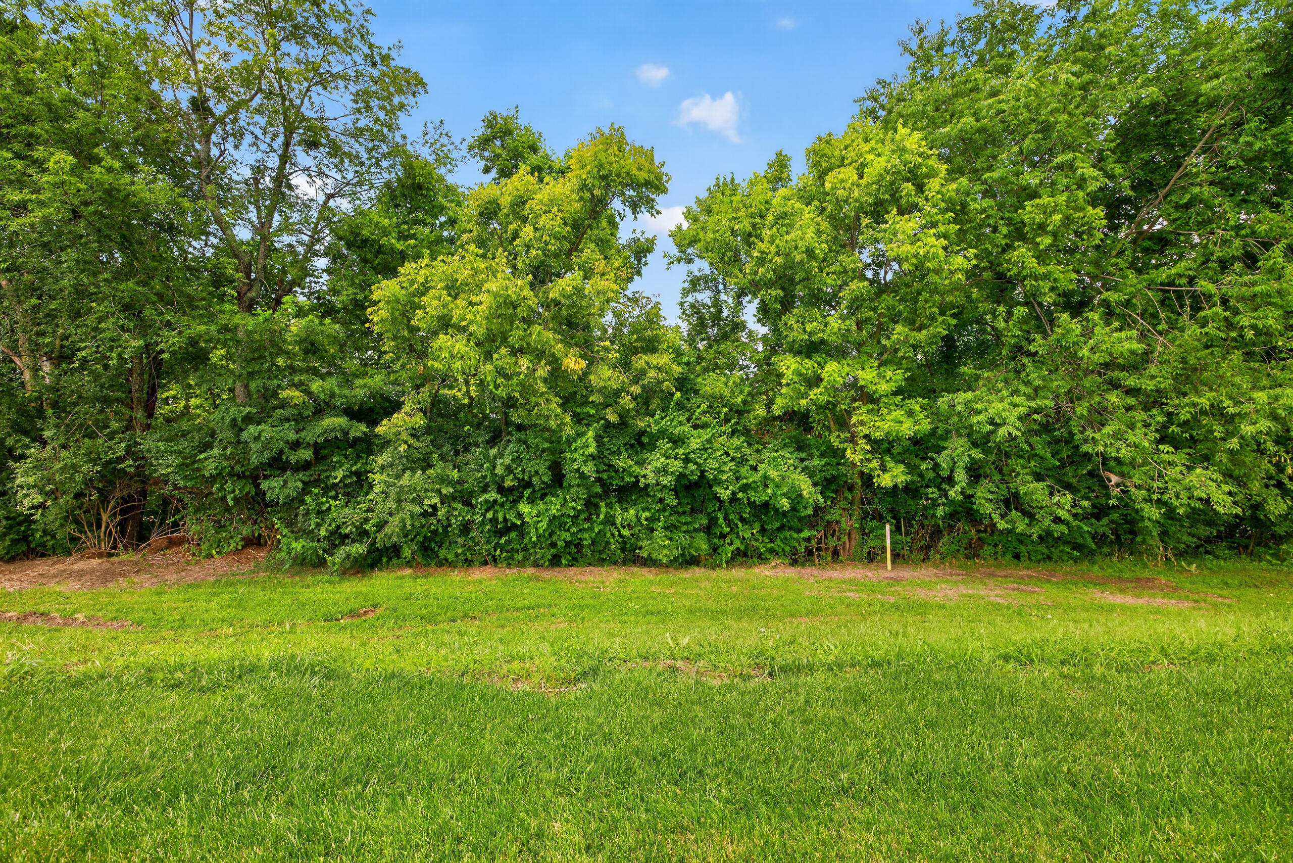 112 Saddle Ridge Circle Property Photo 29
