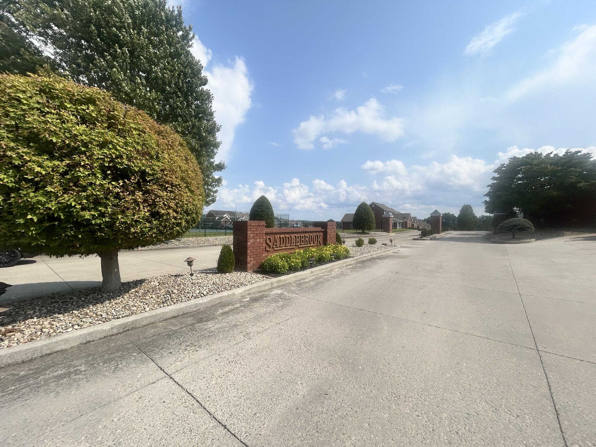 81 E Saddlebrook Drive Property Photo 33