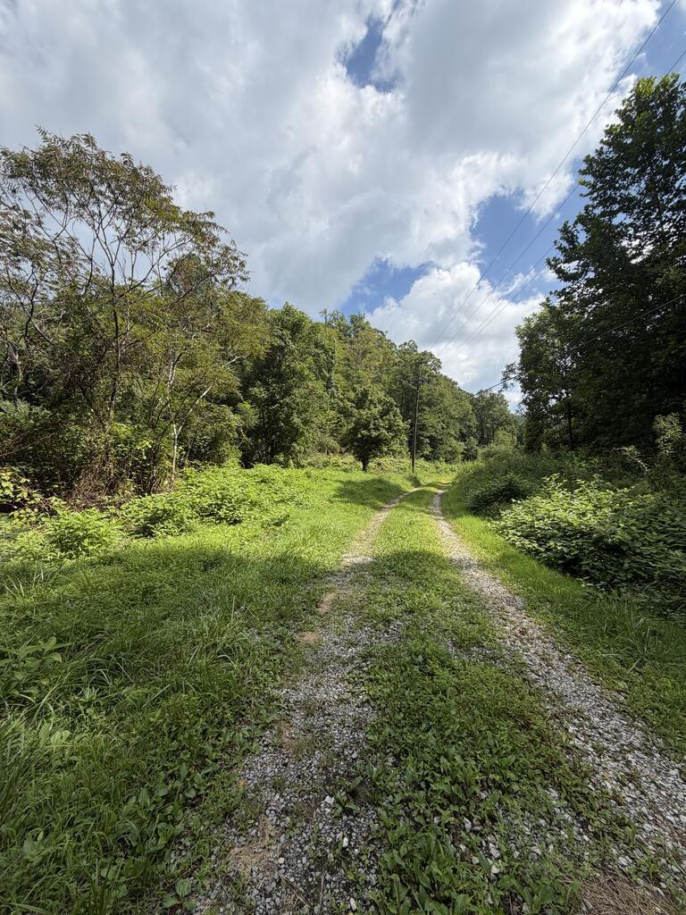 0 Daniels Crk Property Photo 6