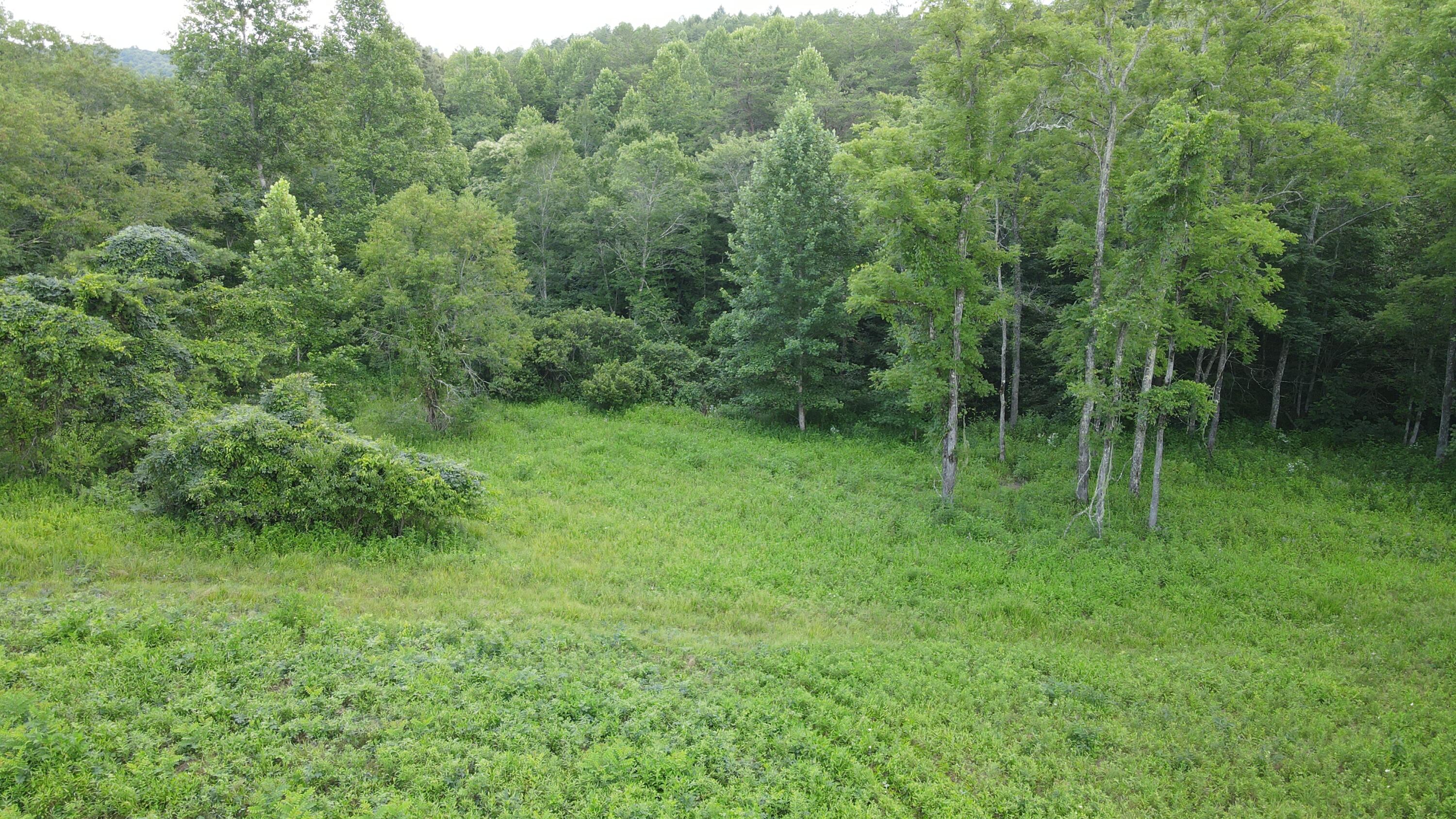 3550 3550 River Rd Road Property Photo 9