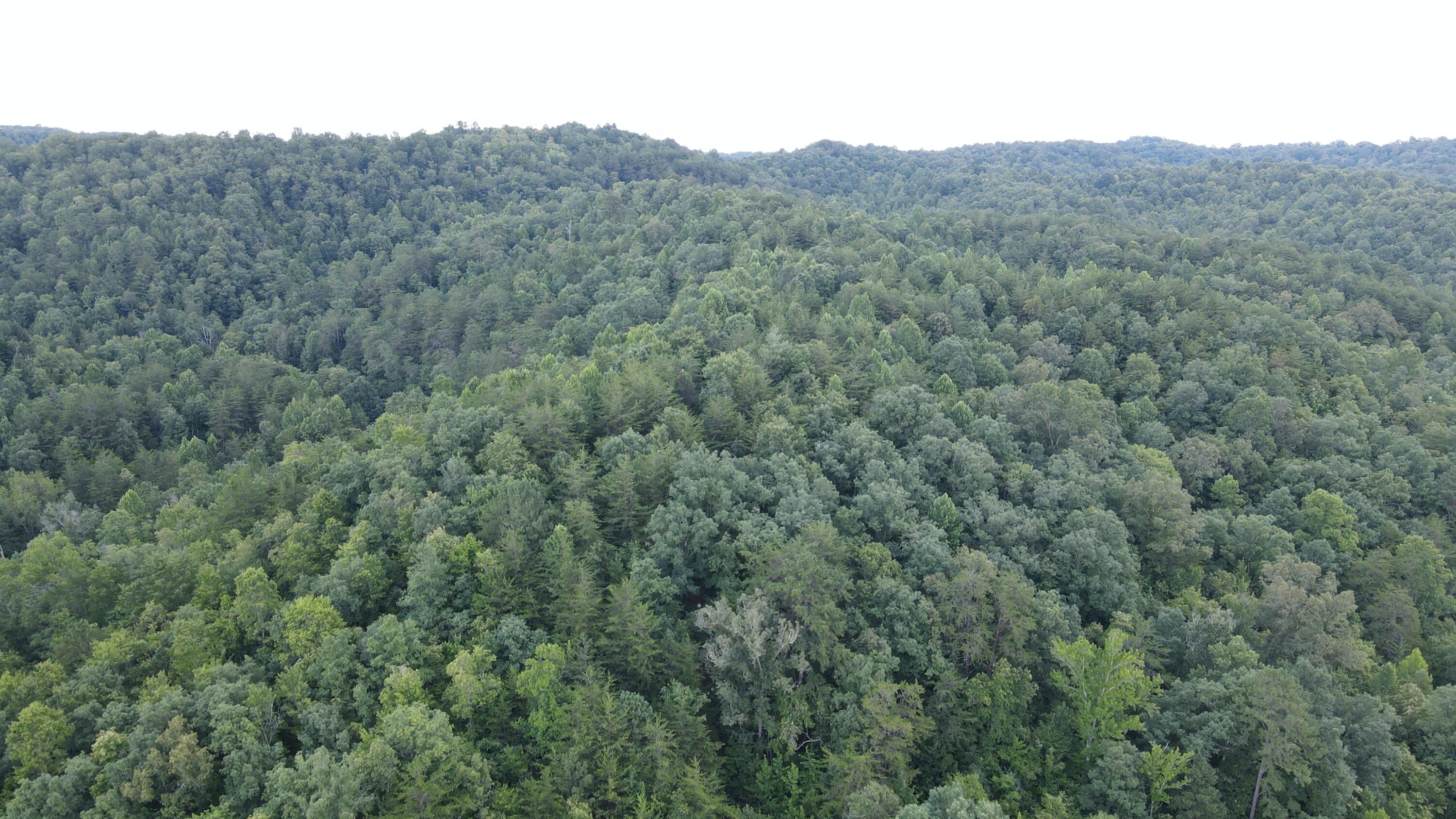 3550 3550 River Rd Road Property Photo 10