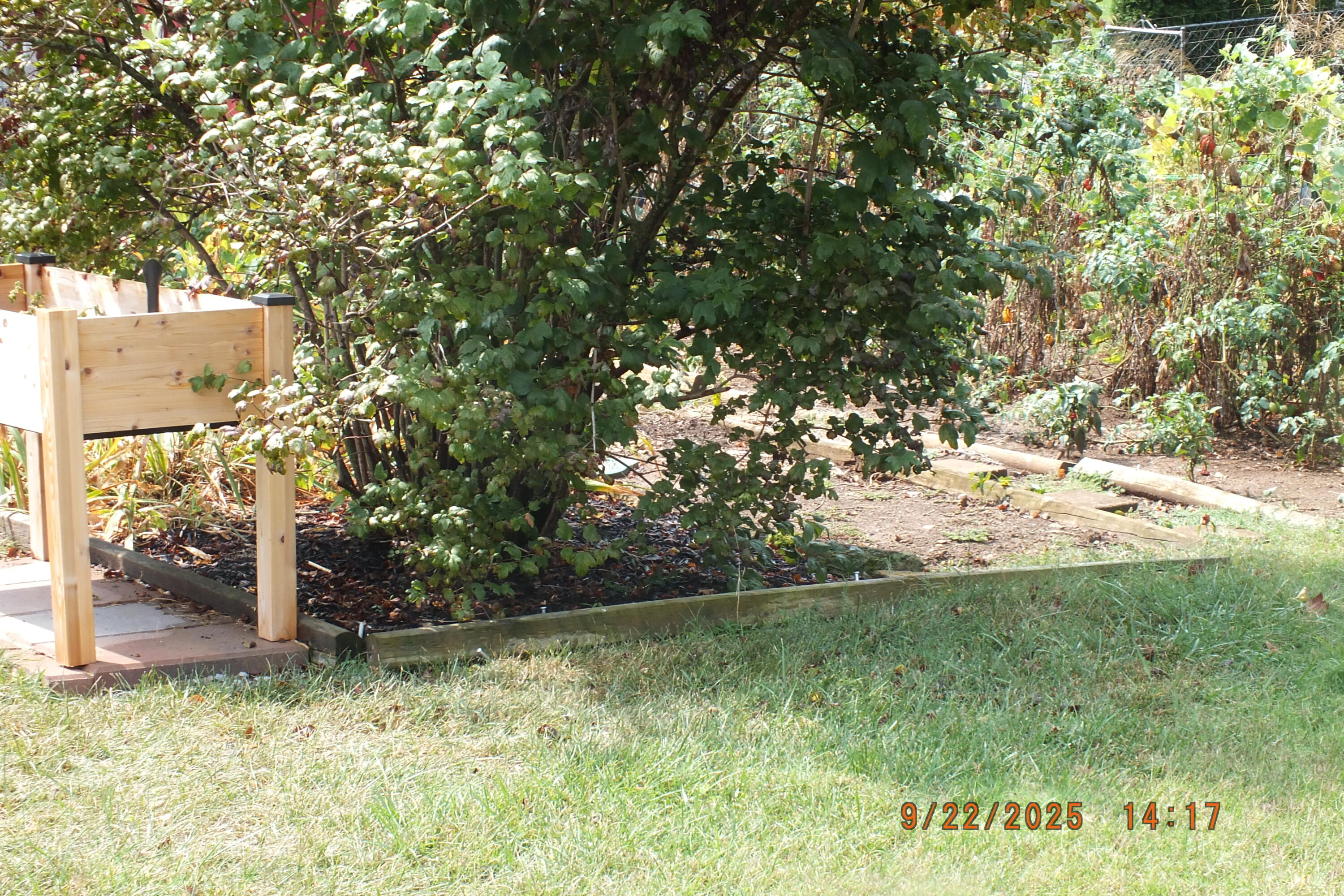 586 Buckingham Lane Property Photo 37