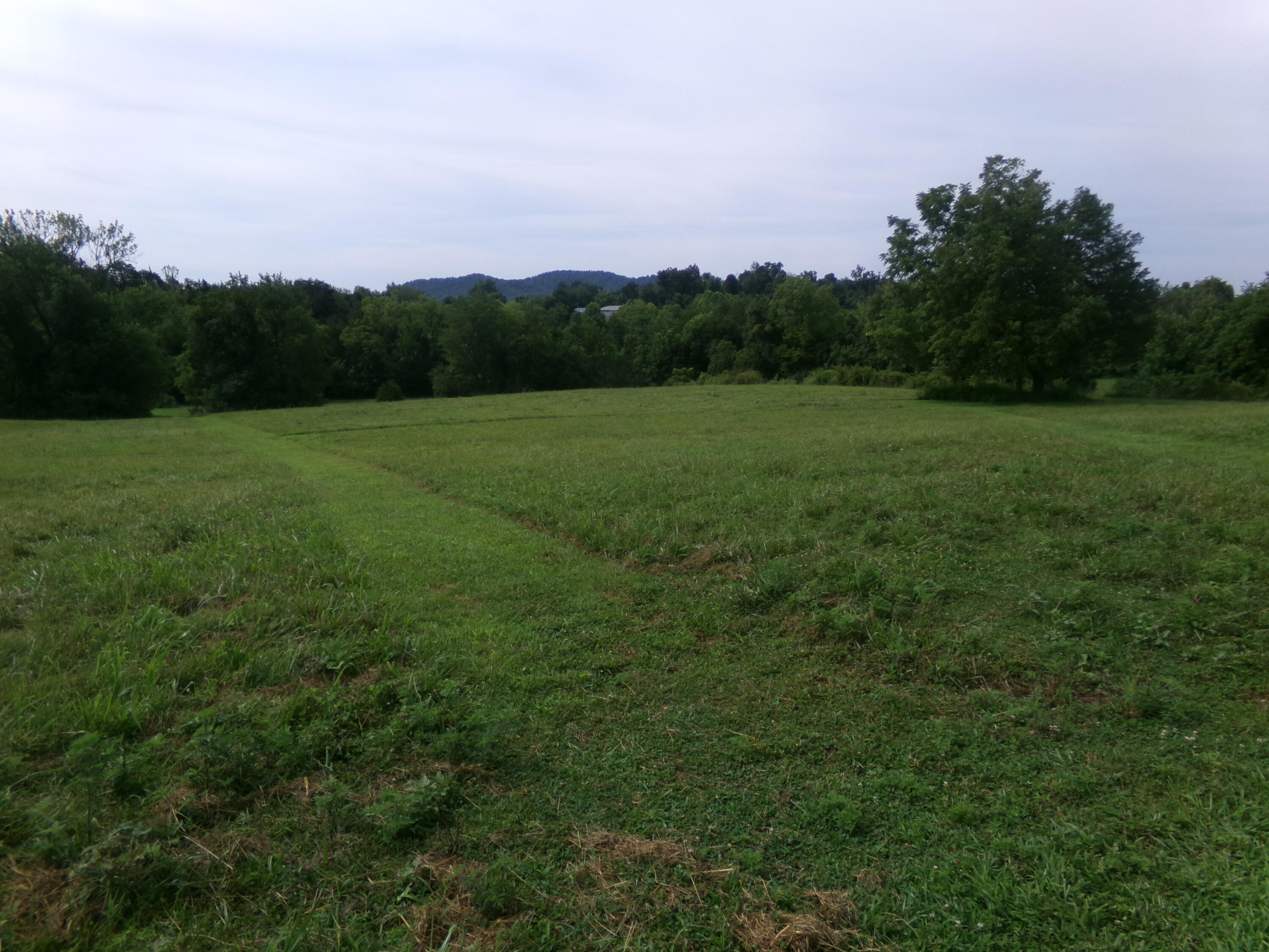 7121 Camargo Levee Road Property Photo 4