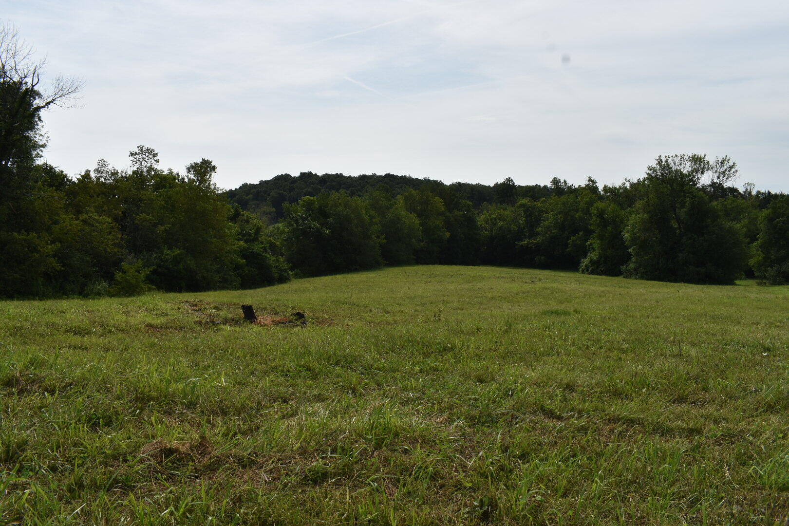 7121 Camargo Levee Road Property Photo 55