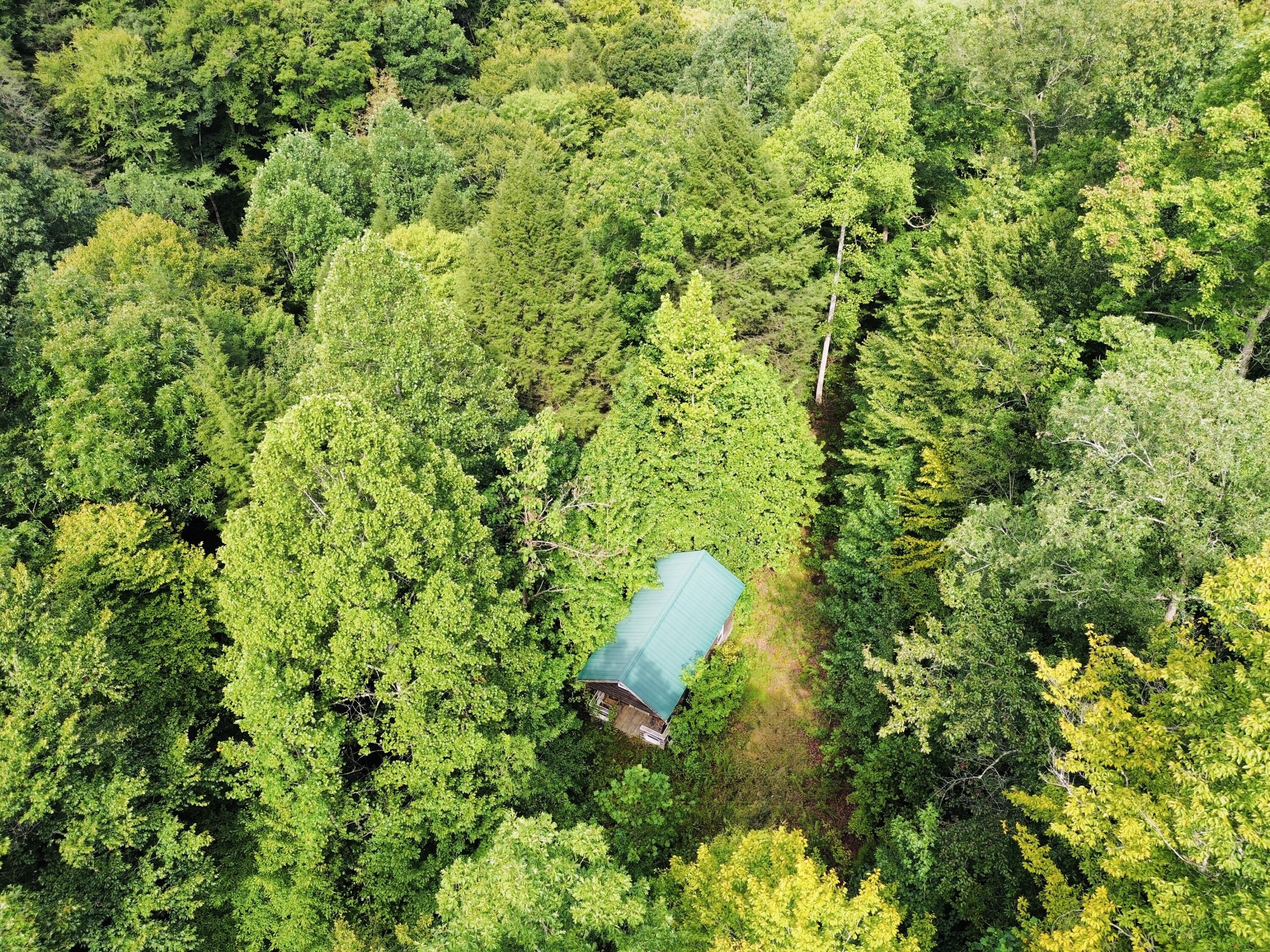 0 Horseshoe Bend Road Property Photo 2