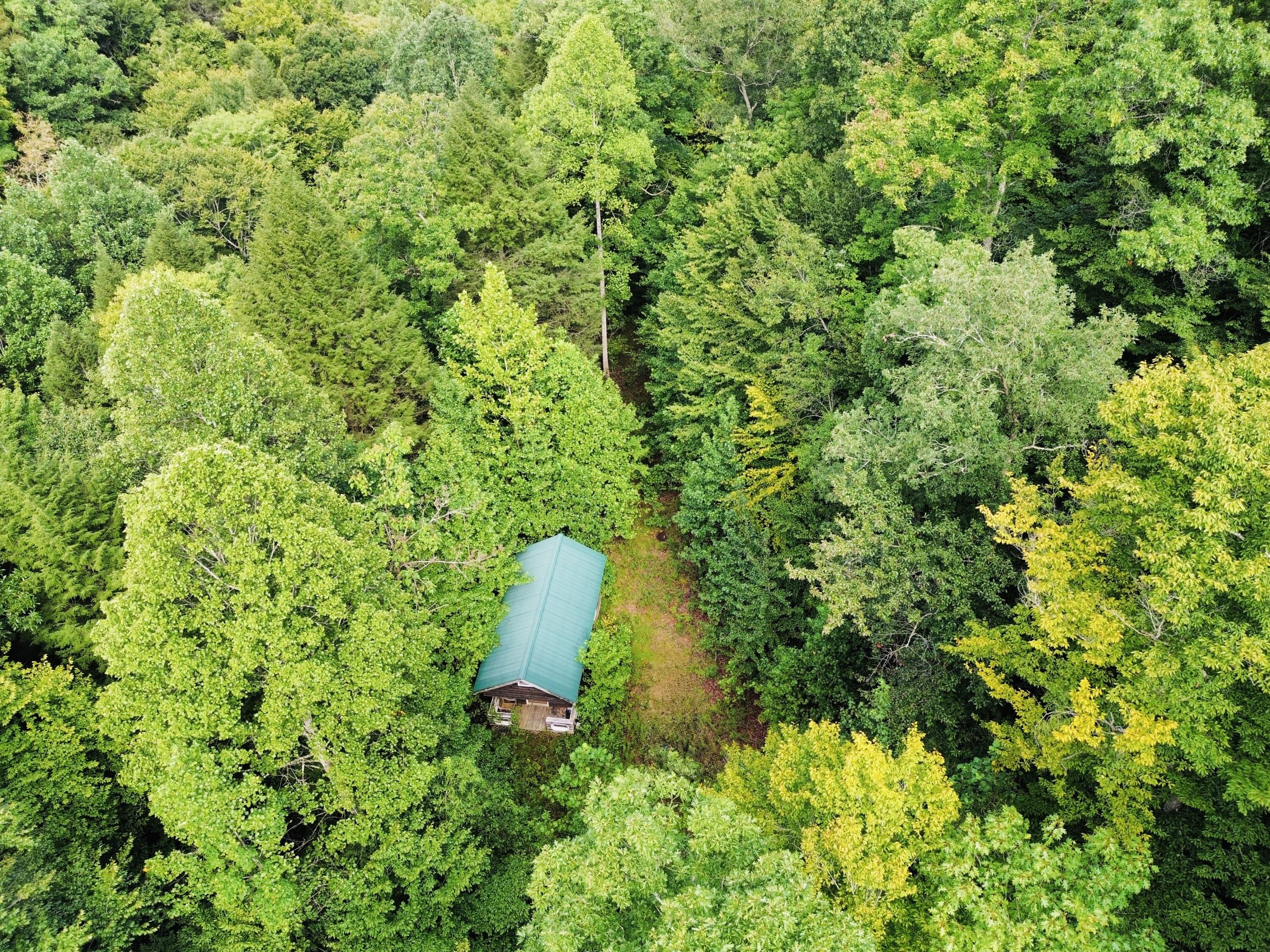 0 Horseshoe Bend Road Property Photo 3