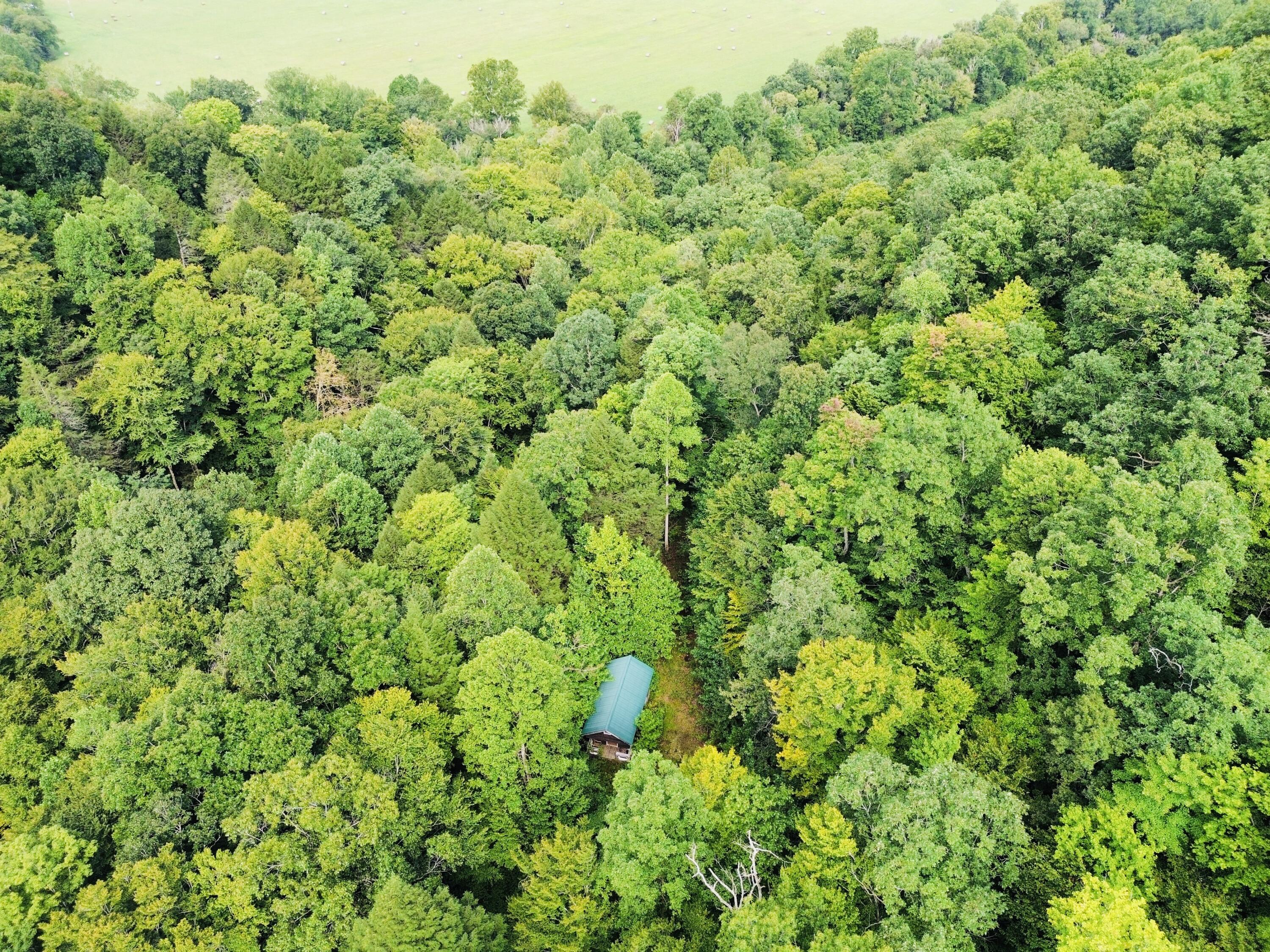 0 Horseshoe Bend Road Property Photo 4