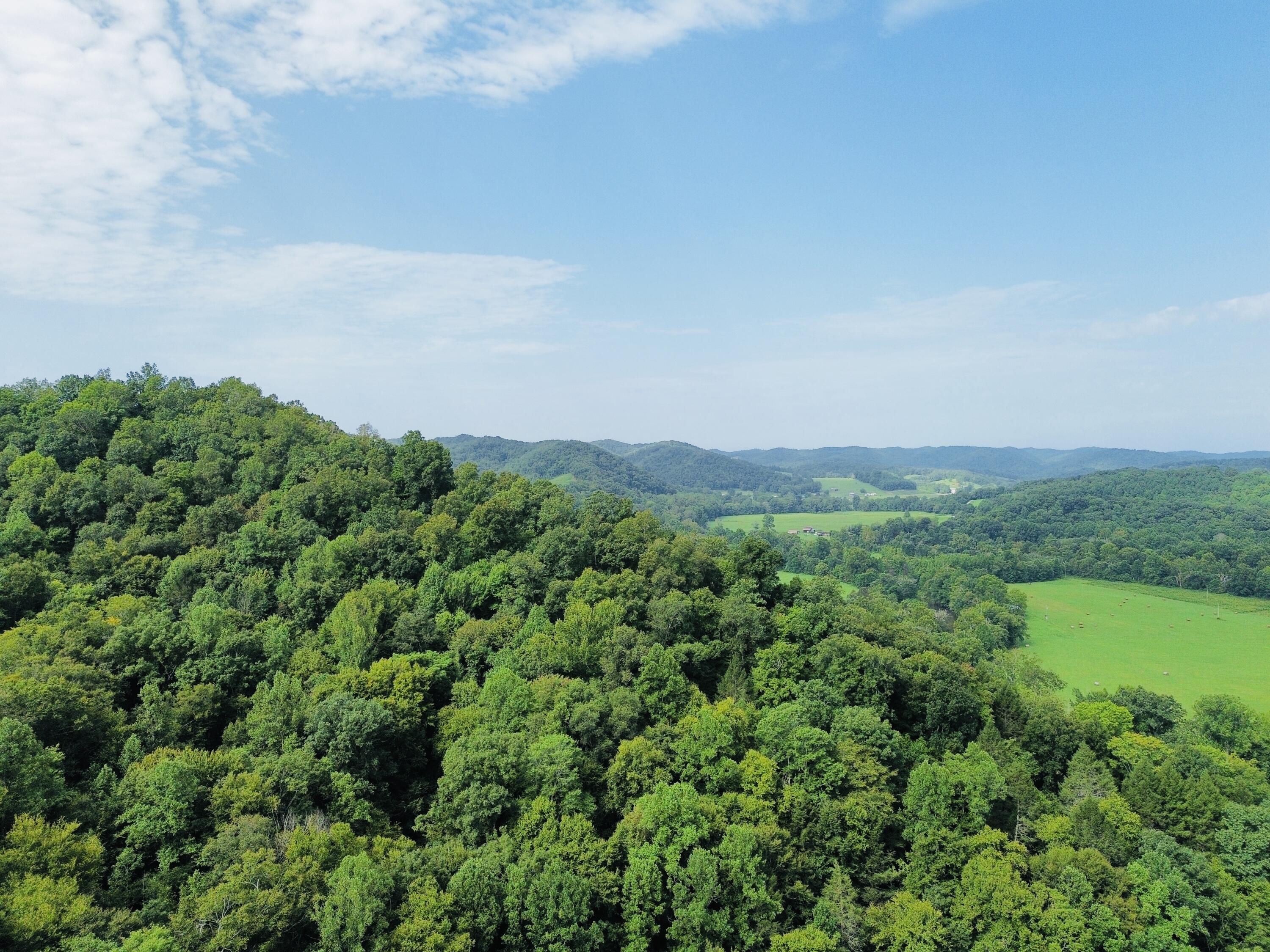 0 Horseshoe Bend Road Property Photo 5
