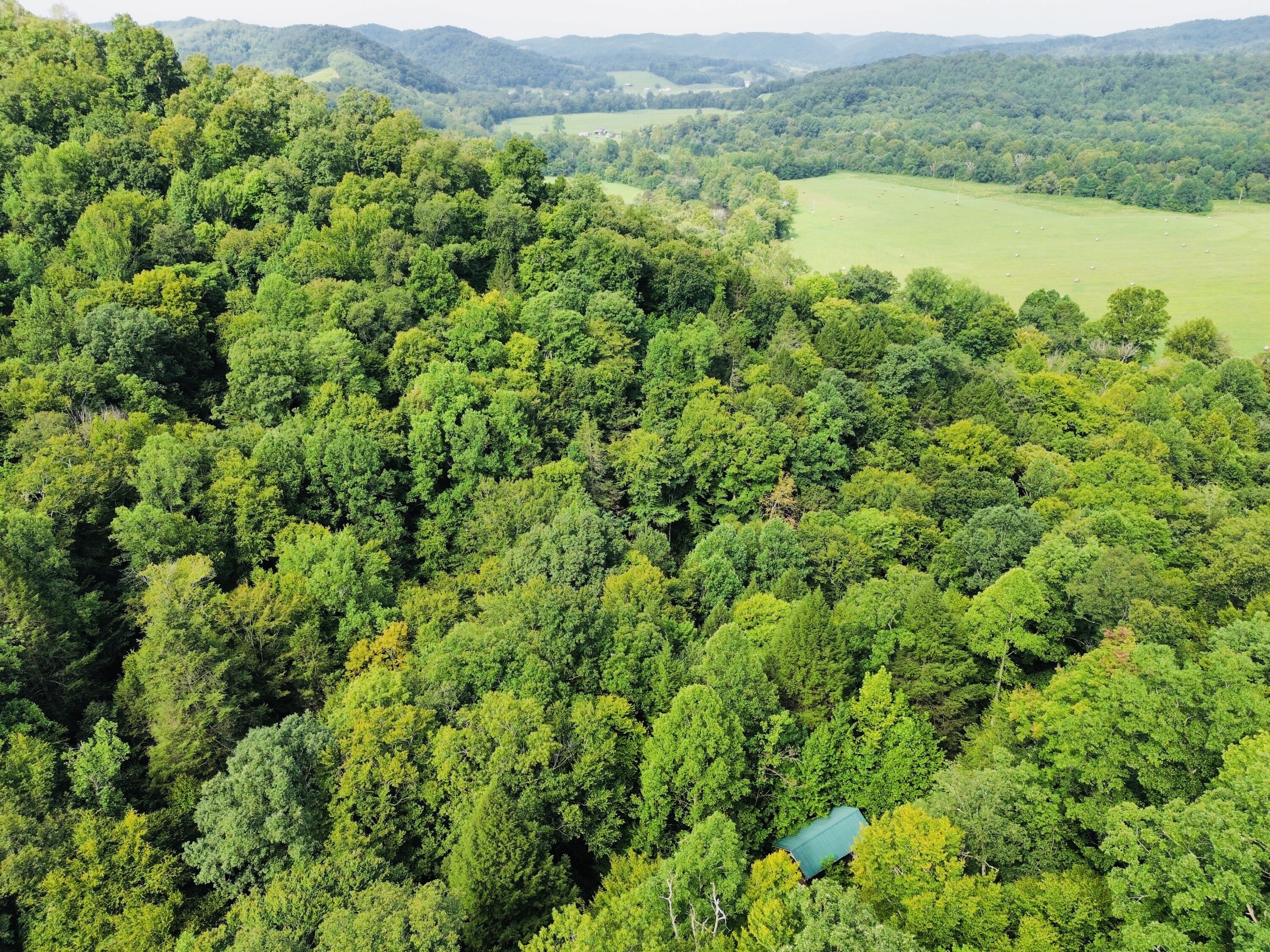 0 Horseshoe Bend Road Property Photo 7