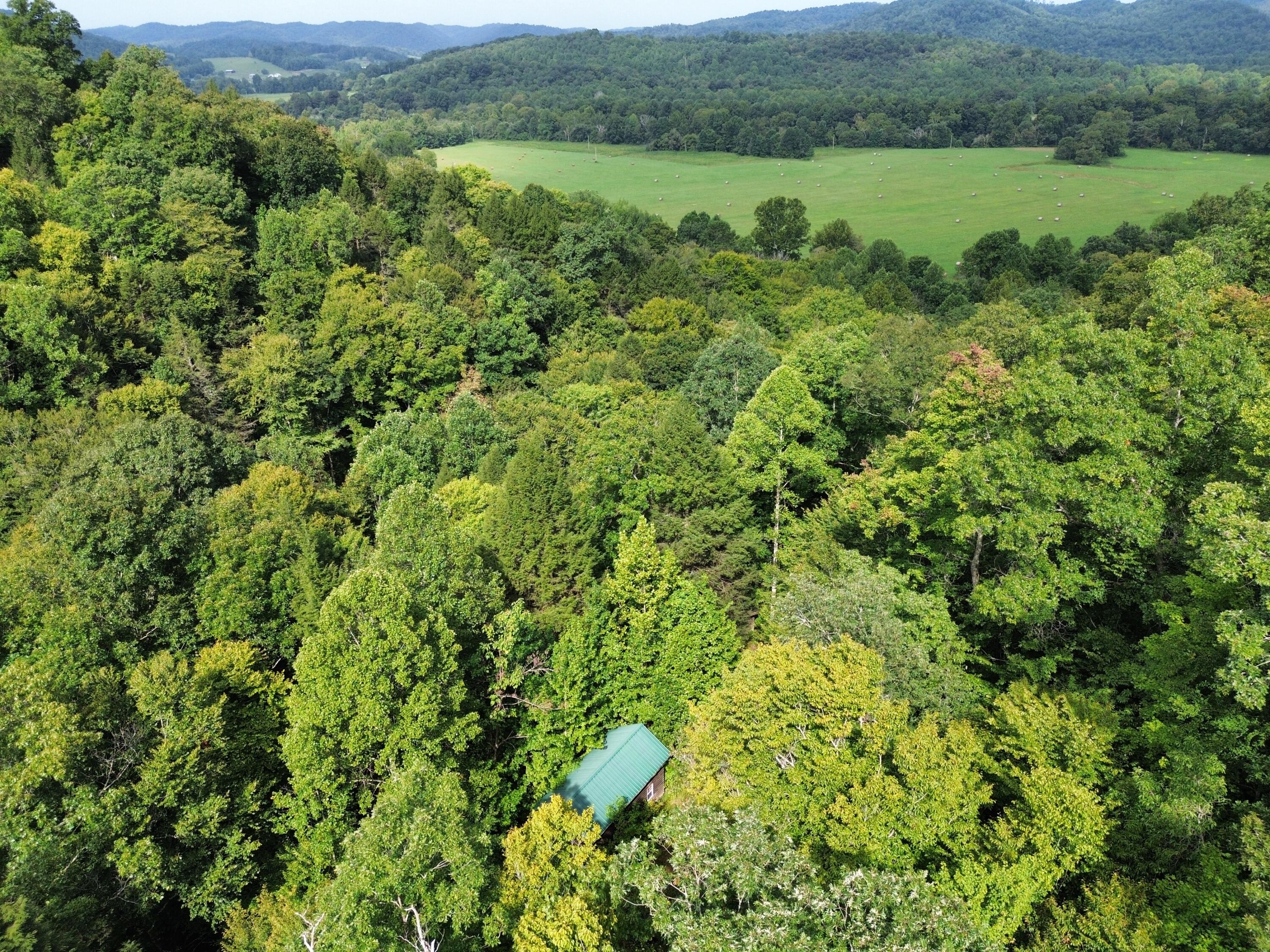 0 Horseshoe Bend Road Property Photo 8
