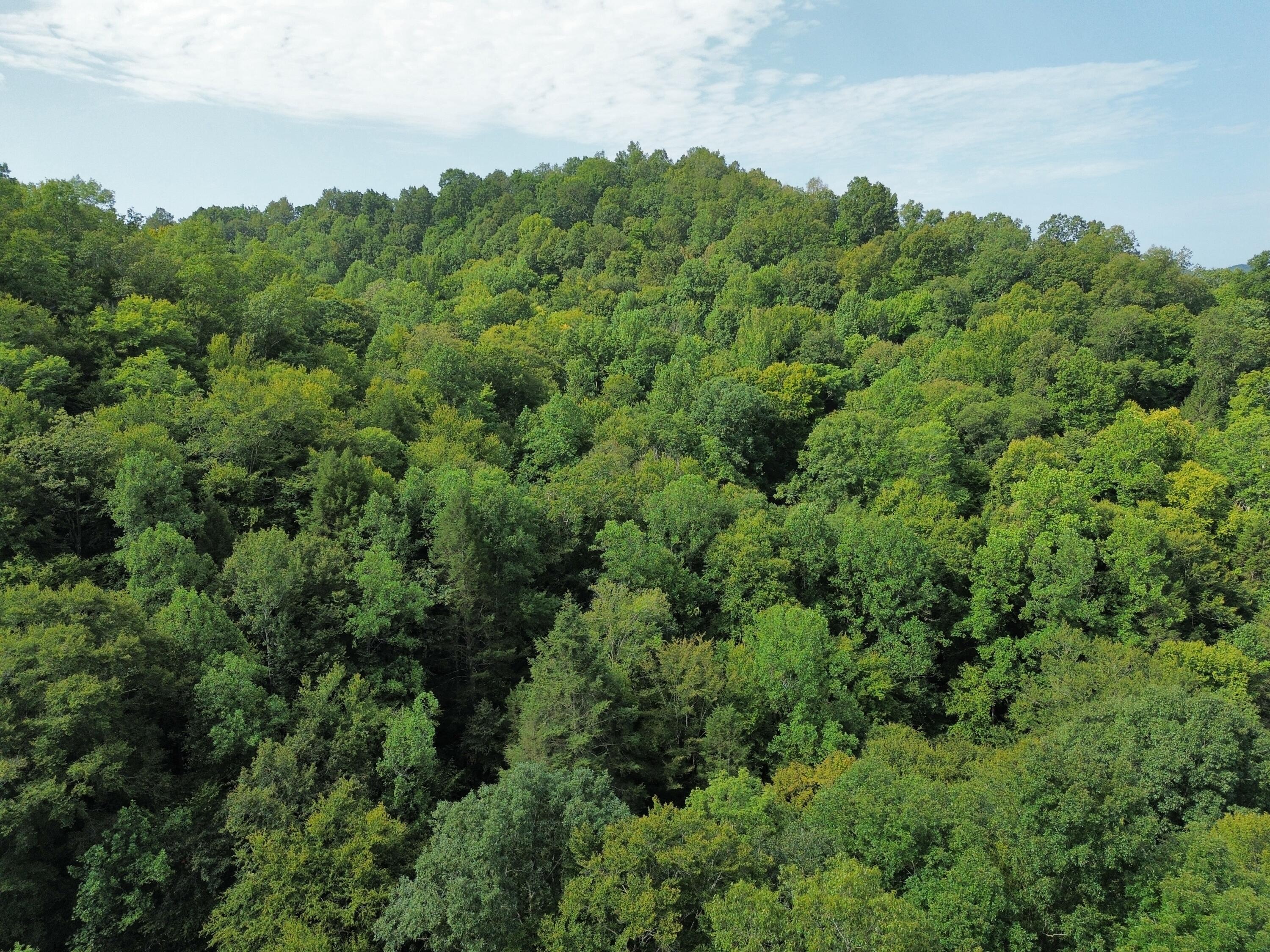 0 Horseshoe Bend Road Property Photo 9