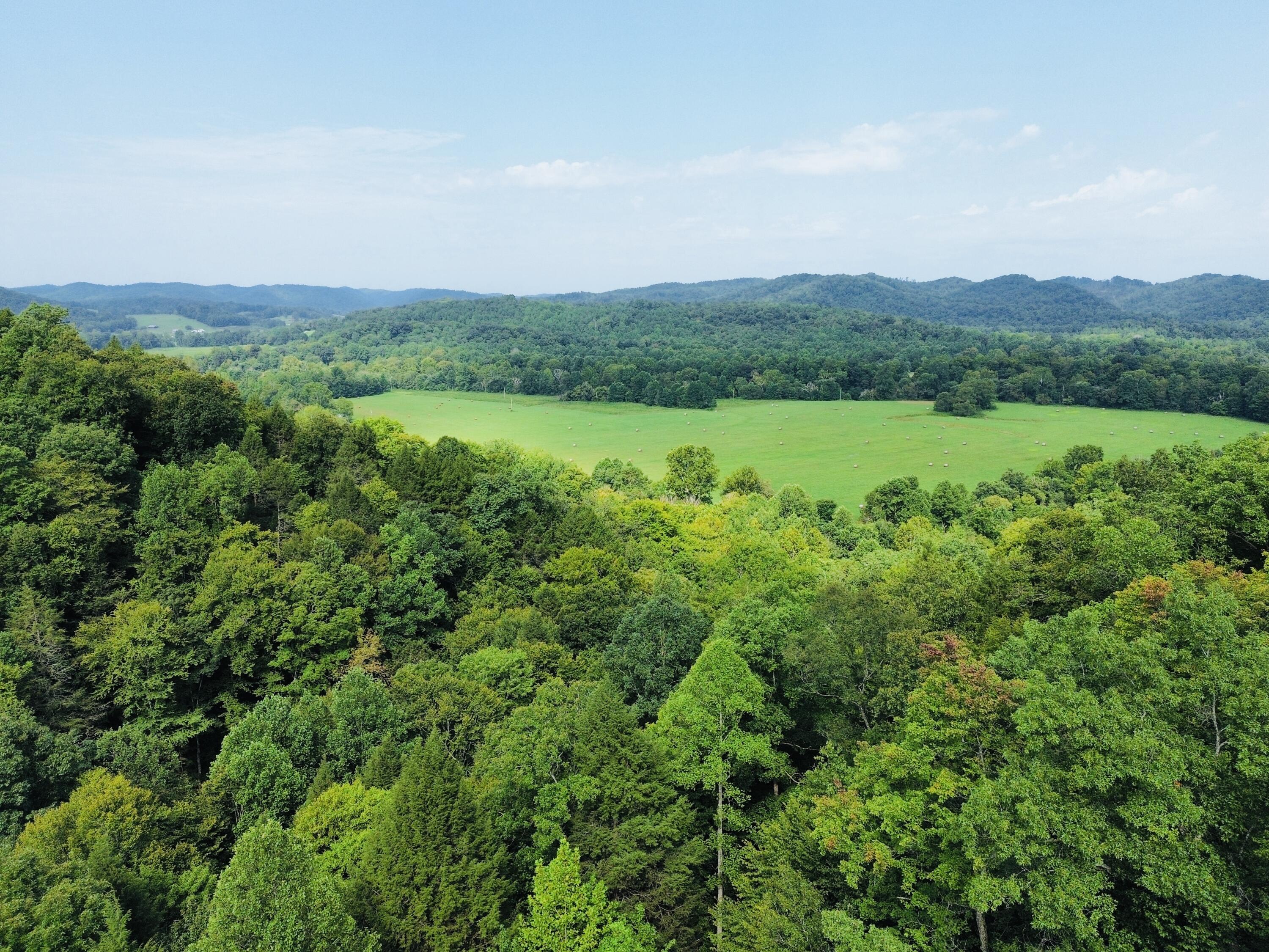 0 Horseshoe Bend Road Property Photo 10