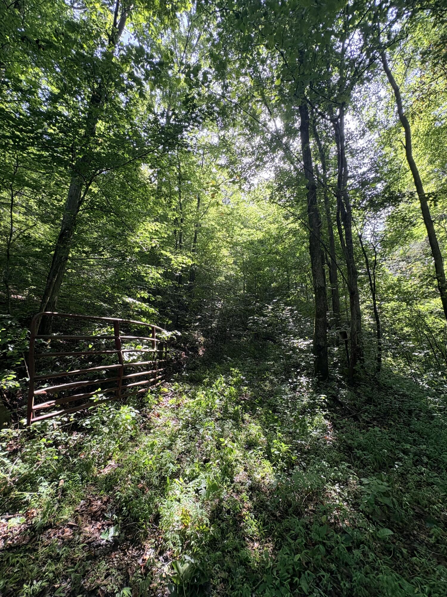 0 Horseshoe Bend Road Property Photo 11