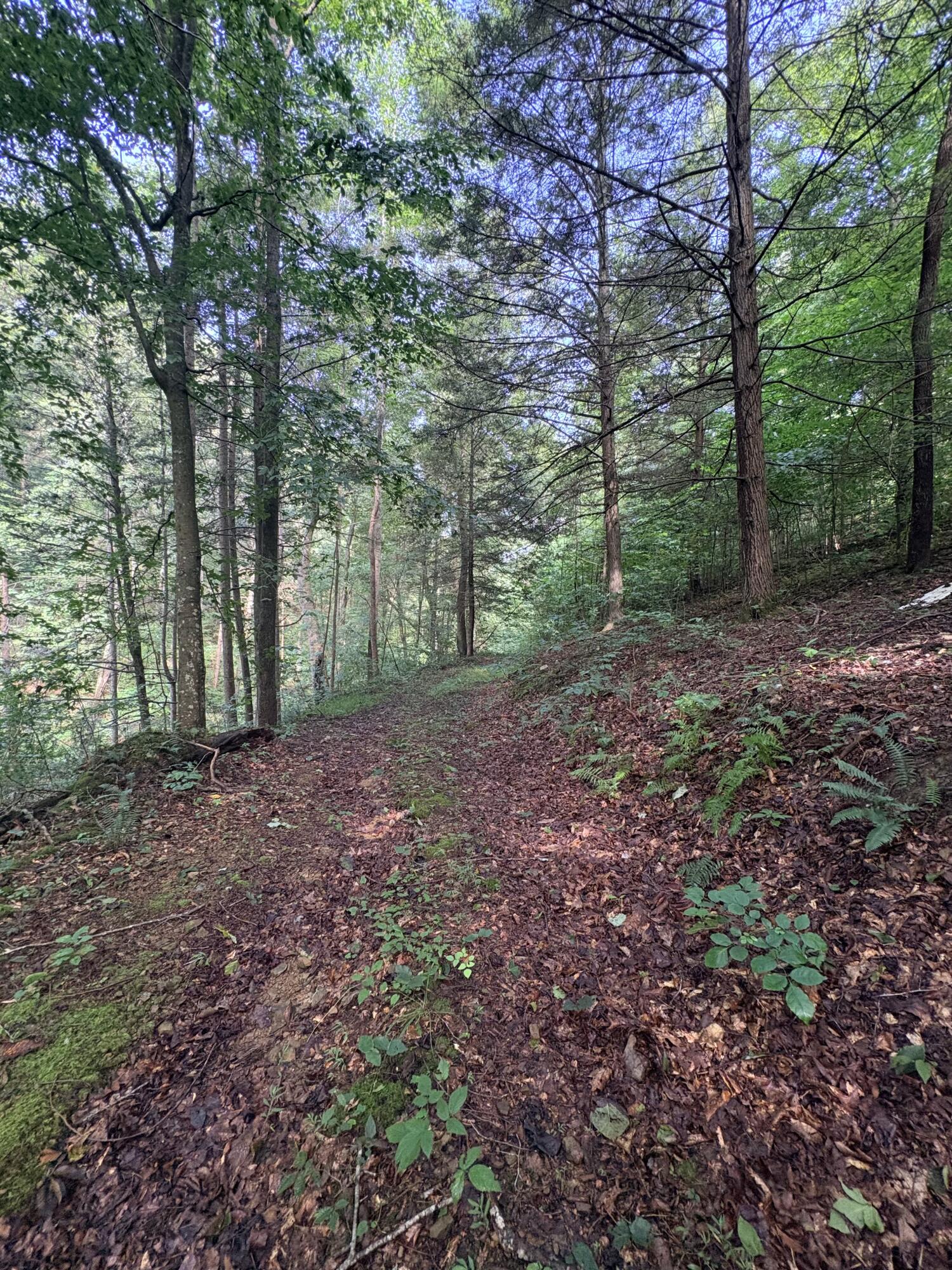 0 Horseshoe Bend Road Property Photo 13
