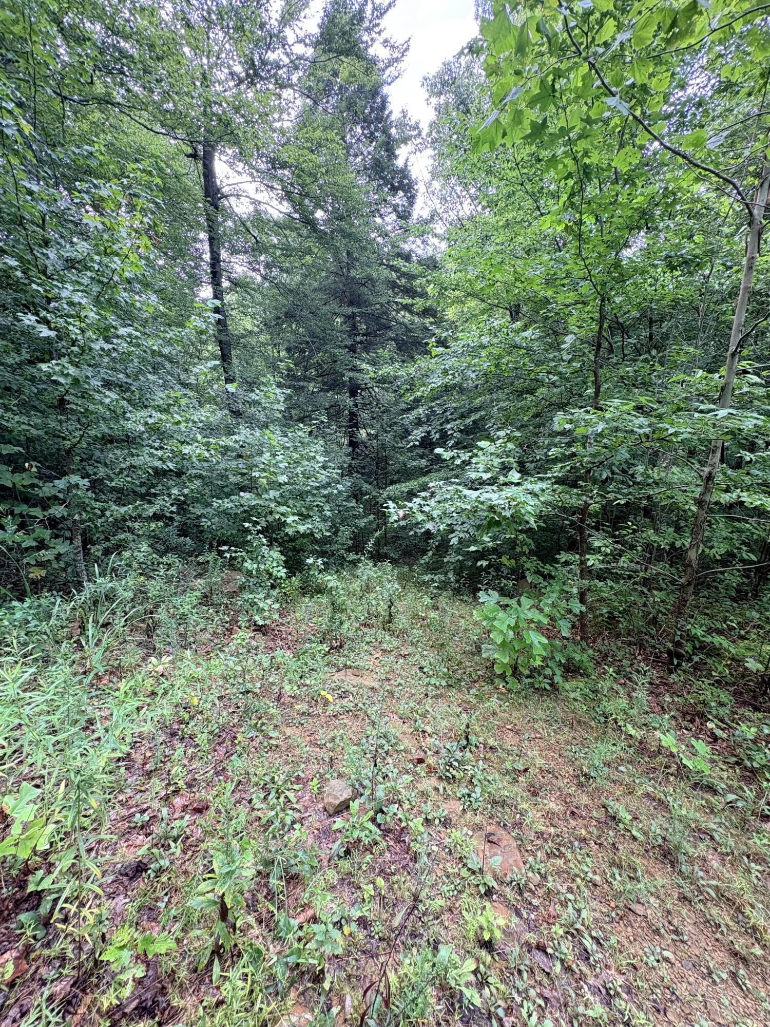 0 Horseshoe Bend Road Property Photo 15