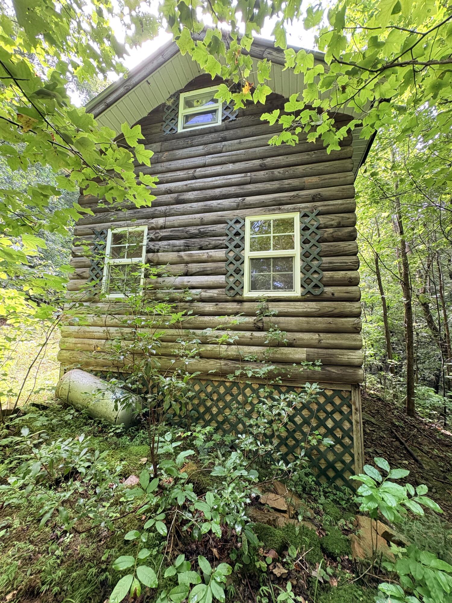 0 Horseshoe Bend Road Property Photo 25