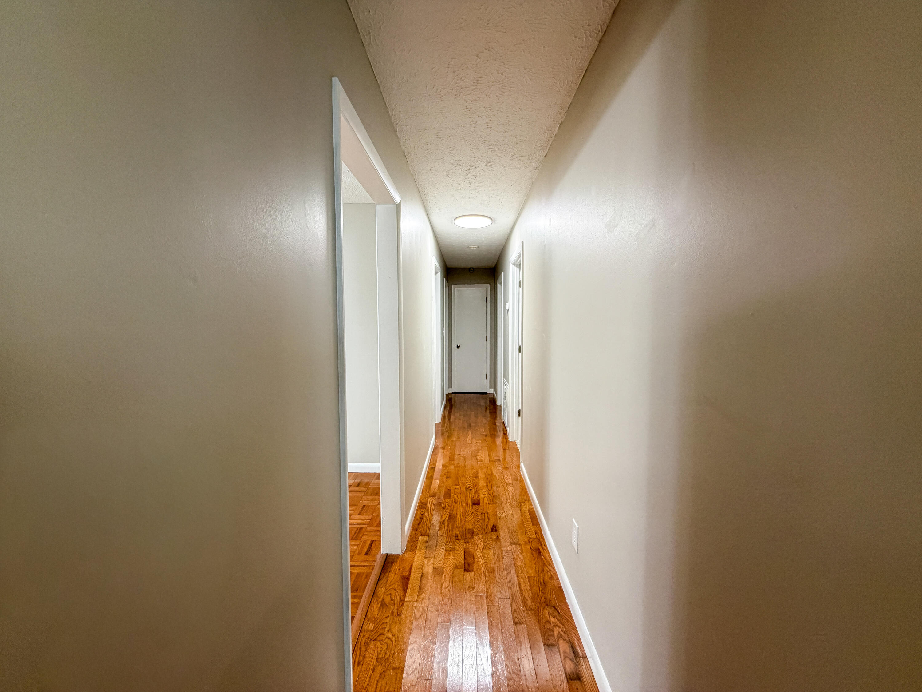 1029 Cardinal Drive Property Photo 21